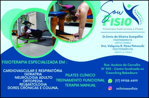 Sou Fisio
