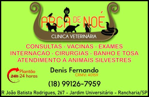 Clínica Veterinária Arca de Noé