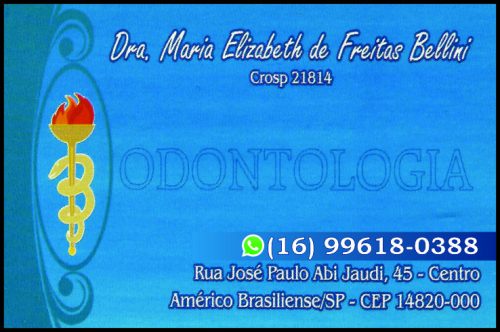 MARIA ELIZABETH DE FREITAS BELLINI