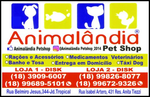 Animalandia Pet Shop