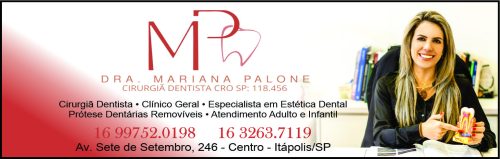 Mariana Vicentini Palone