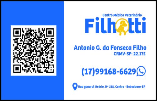 Filhotti