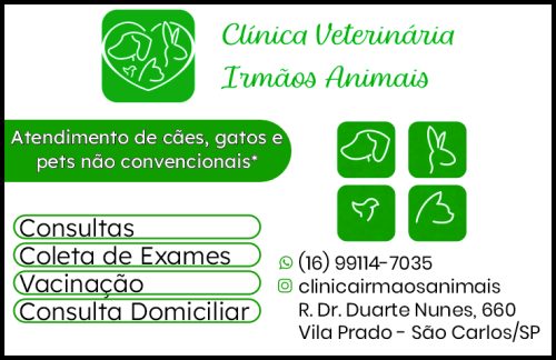Clinica Veterinaria Irmãos Animais