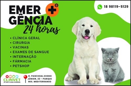 Clinvet Clínica Veterinária